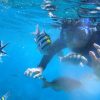 綠島｜石朗浮潛好好玩 – 海底世界魚群共遊，來綠島一定要體驗的水上活動！