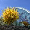 西雅圖｜奇胡利玻璃藝術園 Chihuly Garden and Glass – 超乎想像玻璃藝術，充滿生命力的奇幻花園