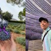 呂貝宏｜The Lavender Museum Luberon 普羅旺斯薰衣草博物館完整攻略！